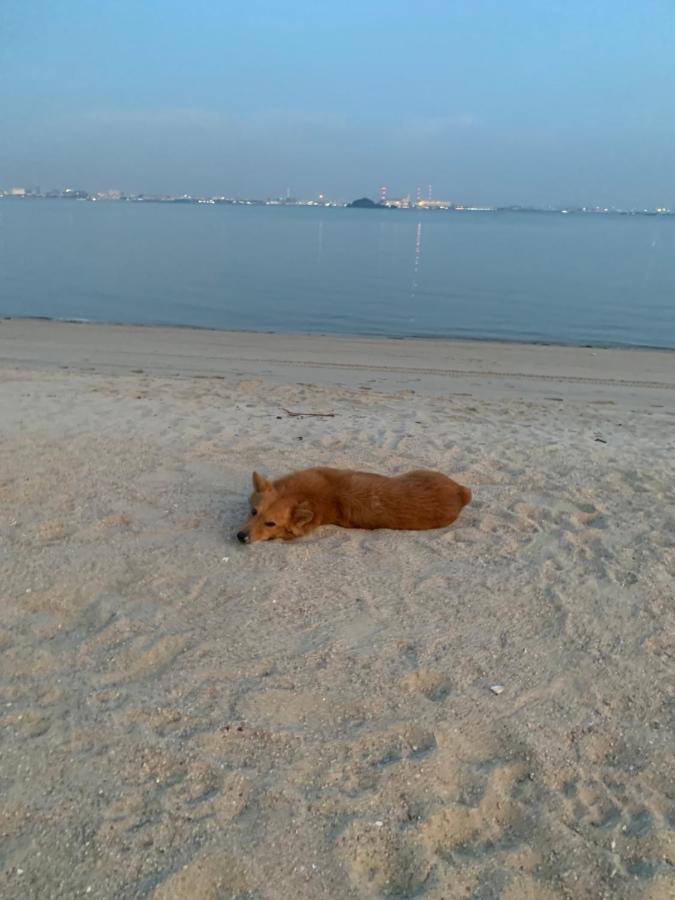 Sea View 2 Bedroom Fully Furnished Apartment Forest City Starview Bay Johor Malaysia Kampong Pok Kechil Extérieur photo